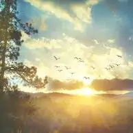 beautiful sunrise photography beautiful sunrise photography